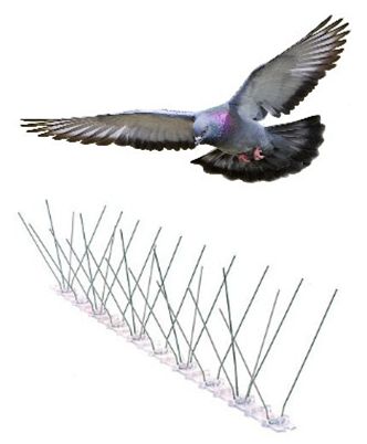 ESPIGÕES PARA POMBOS “BIRD SPIKE”