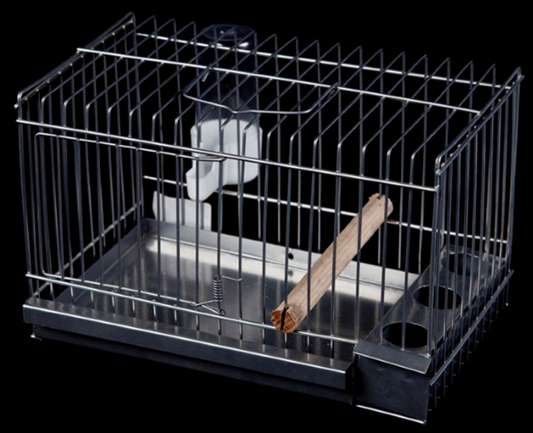 GAIOLA PARA PINTASSILGOS